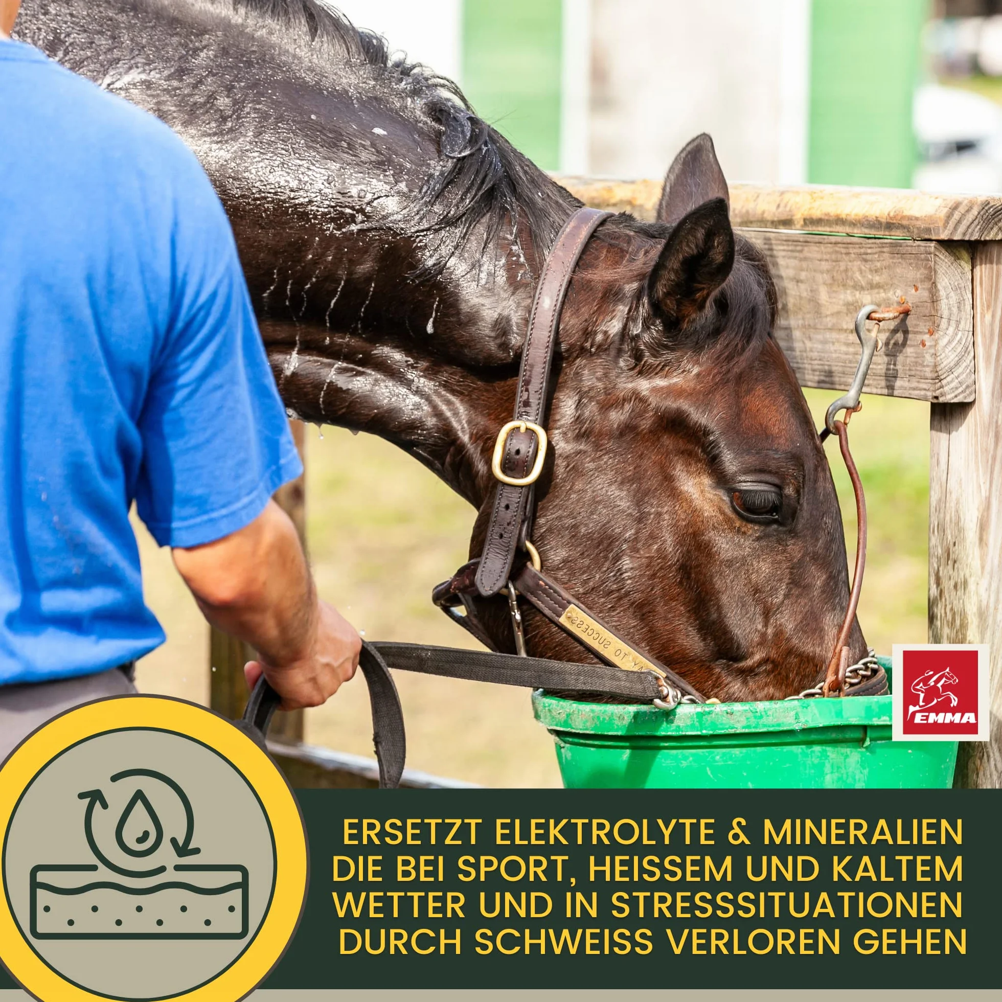 EMMA Pasta elektrolitowa z koniem 1 szt. – wzmacniacz elektrolitu z kompleksem witaminy B, potas, sód, wapń, magnez, szybkie nawodnienie w przypadku biegunki, pocenia się wody odchodowej, poceniu się