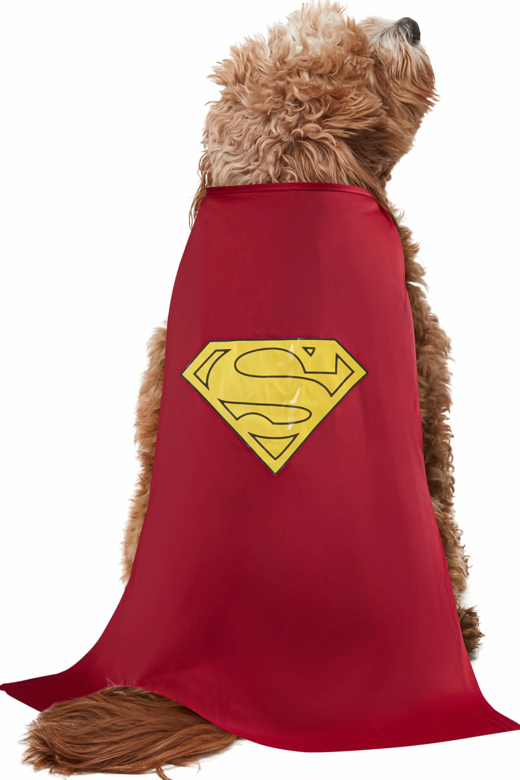 Rubie's Oficjalny kostium dla psa, Superman
