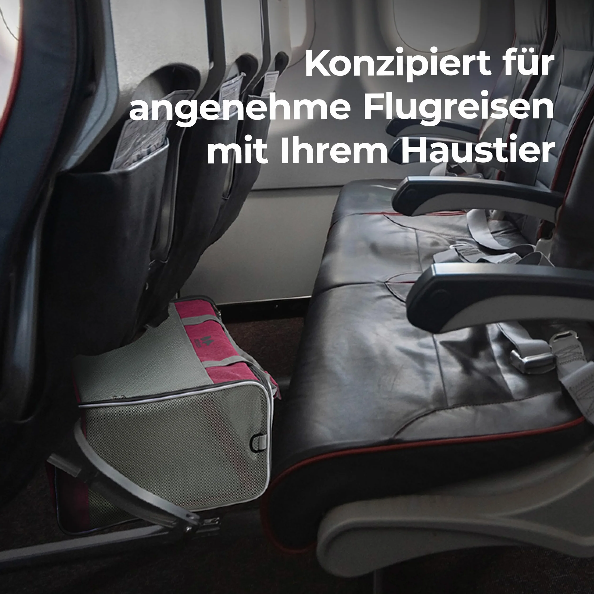 EQUICANI Torba podróżna dla psów Travel1 szara