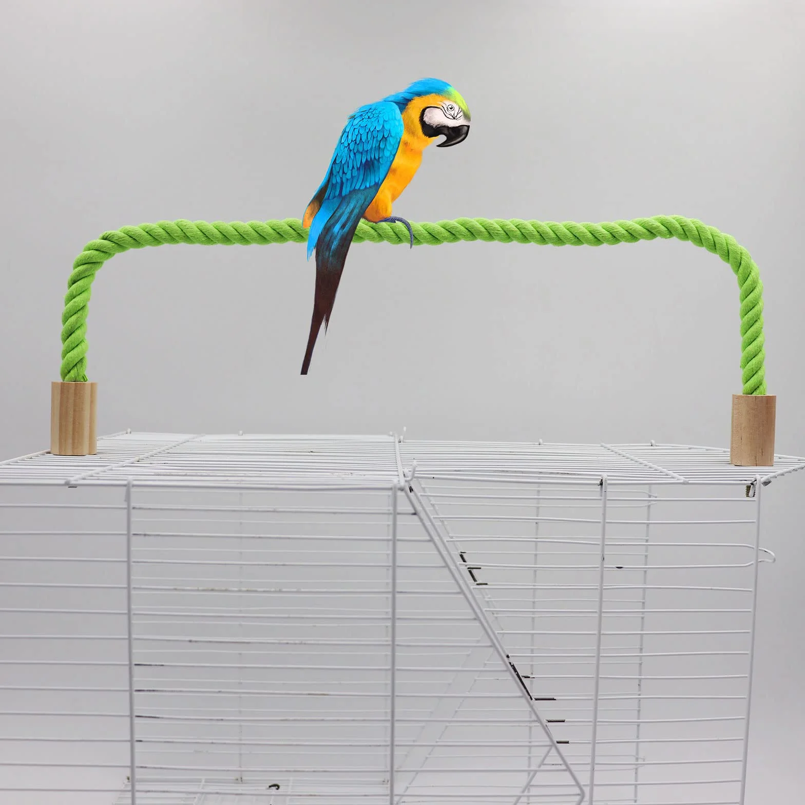 Dnoifne Huśtawka dla ptaków, klatka dla ptaków, akcesoria do stojaka, stojak na klatkę dla ptaków, stojące okonie wspinaczkowe dla papugi, papugi, budgies, gołąbków (S 60 cm)