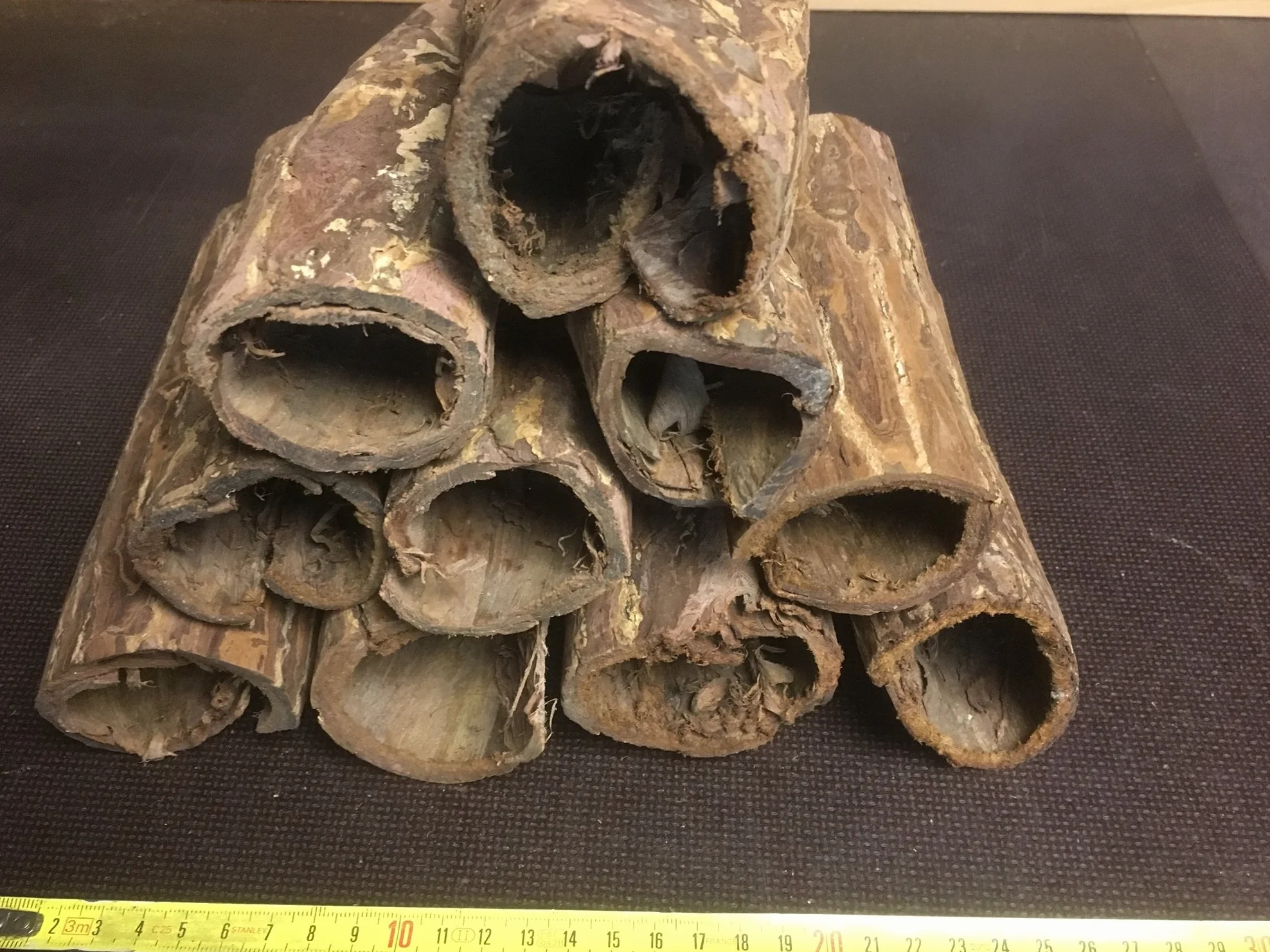 2 duże zagłębienia cudownej broni, indyjskie drzewo migdałowe dla koneserów (średnica 3-4 cm, długość 15-20 cm, łącznie ponad 100 g) dekoracyjna odżywka do wody, rurki z kory Catappa