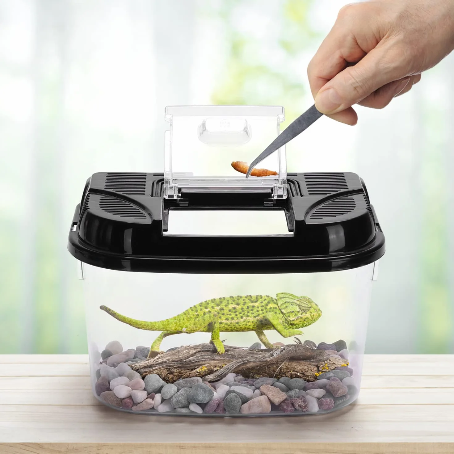 Nobleza Karmnik dla gadów i płazów, przezroczyste plastikowe terrarium, wentylacja i zabezpieczenie przed ucieczką, rozmiar M (22,4 x 15,3 x 15,3 cm)