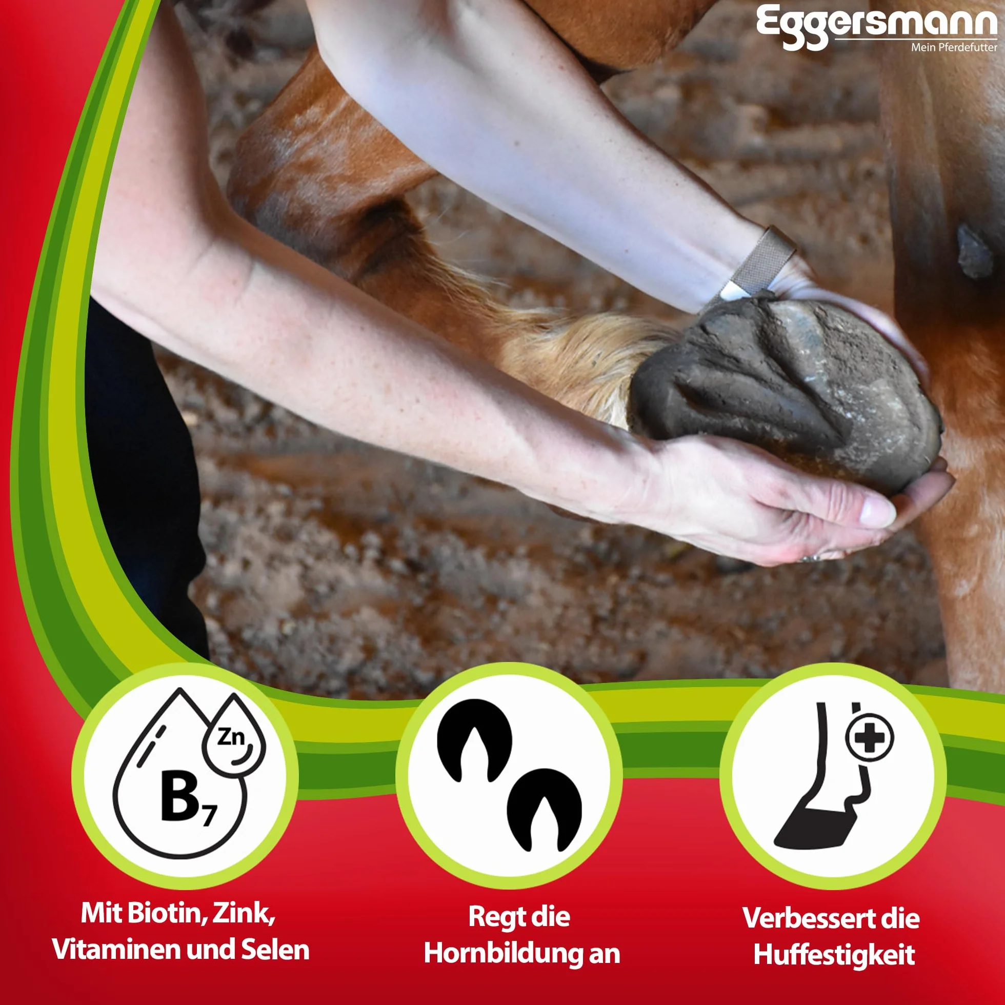 Eggersmann Profi Biotin Plus koncentrat dla koni, dodatkowa karma dla zdrowych kopyt i sierści, 1 opakowanie (1 x 1 kg)