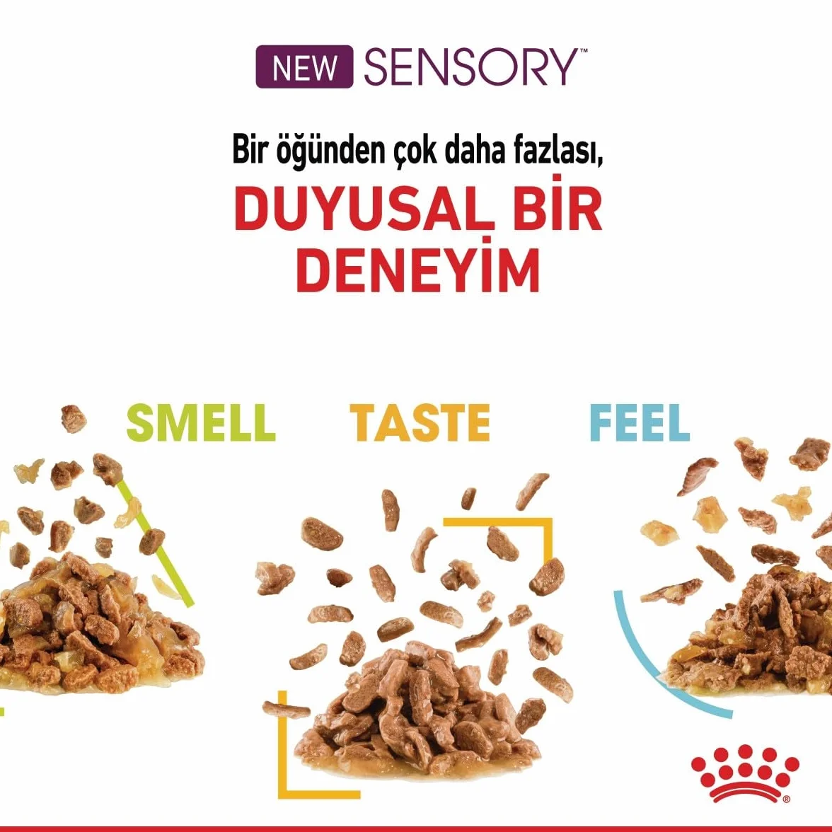 Royal Canin FHN Sensory Taste | Saszetka - kawałki w sosie | 12x85g