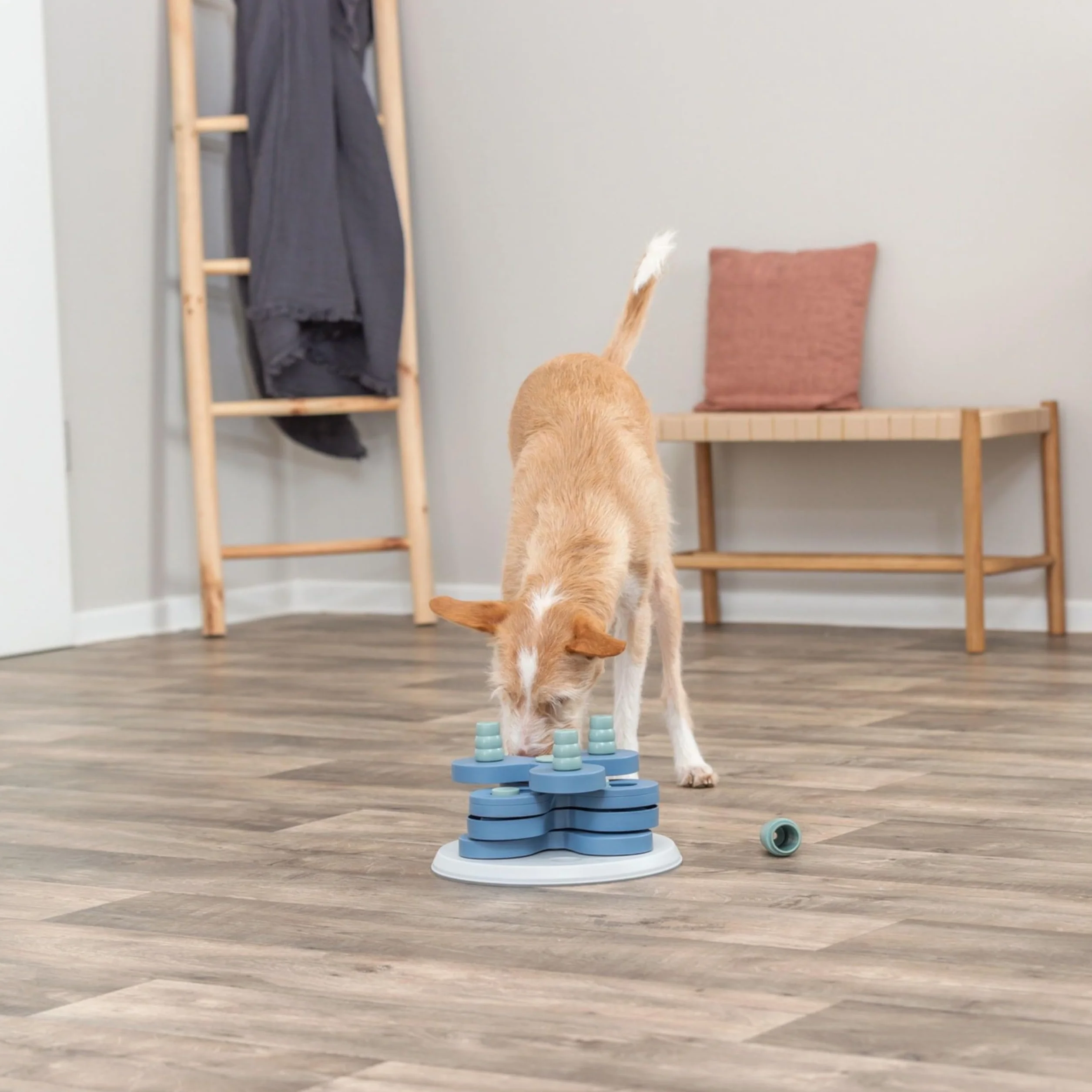 TRIXIE Zabawka dla psa inteligencja Dog Activity gra strategiczna "Flower Tower" – wymagająca zabawka inteligencyjna dla psów do pracy, ø 30 x 13 cm – 32000