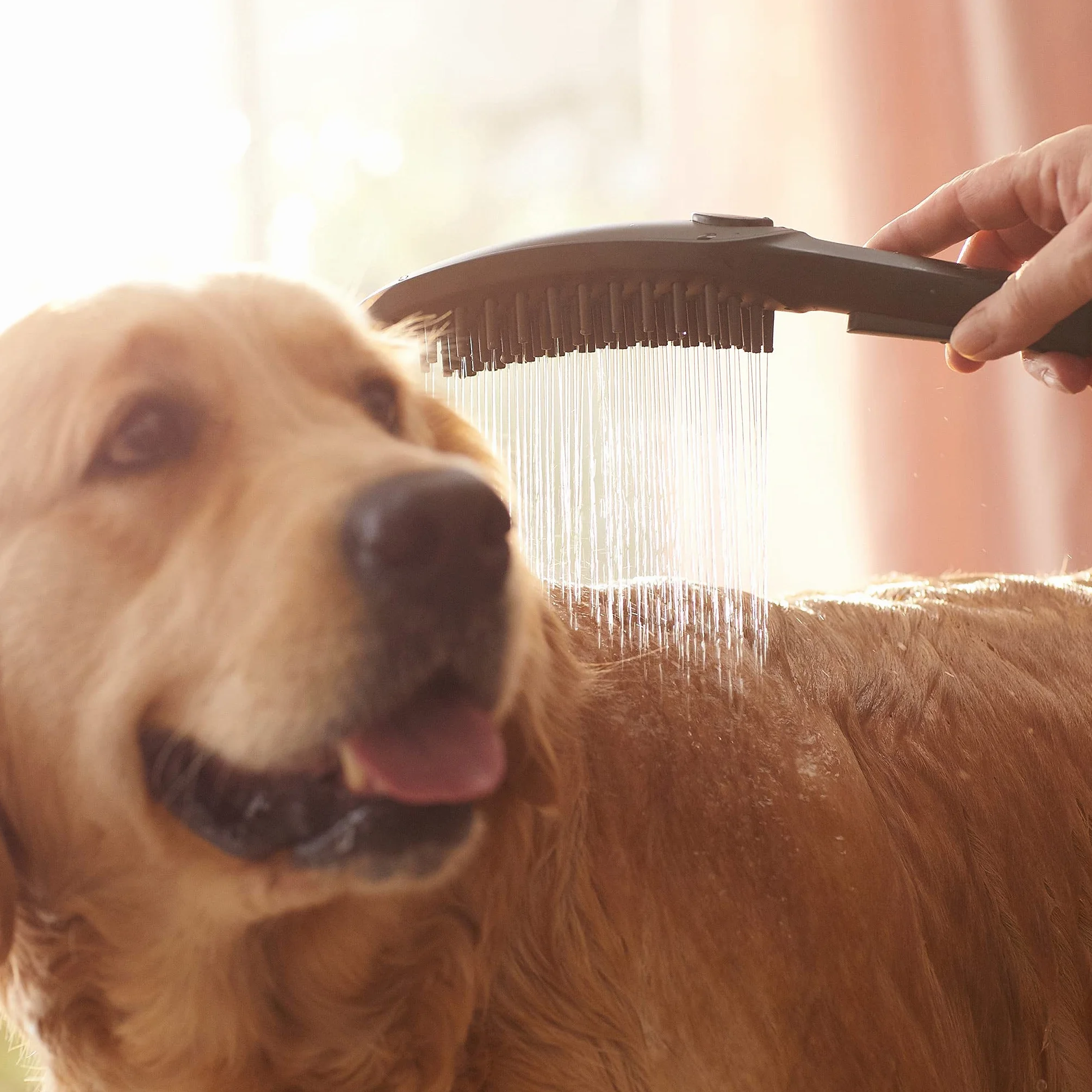 hansgrohe DogShower Główka prysznicowa dla psów 150 3jet z masującymi dyszami czarny matowy, 26640670