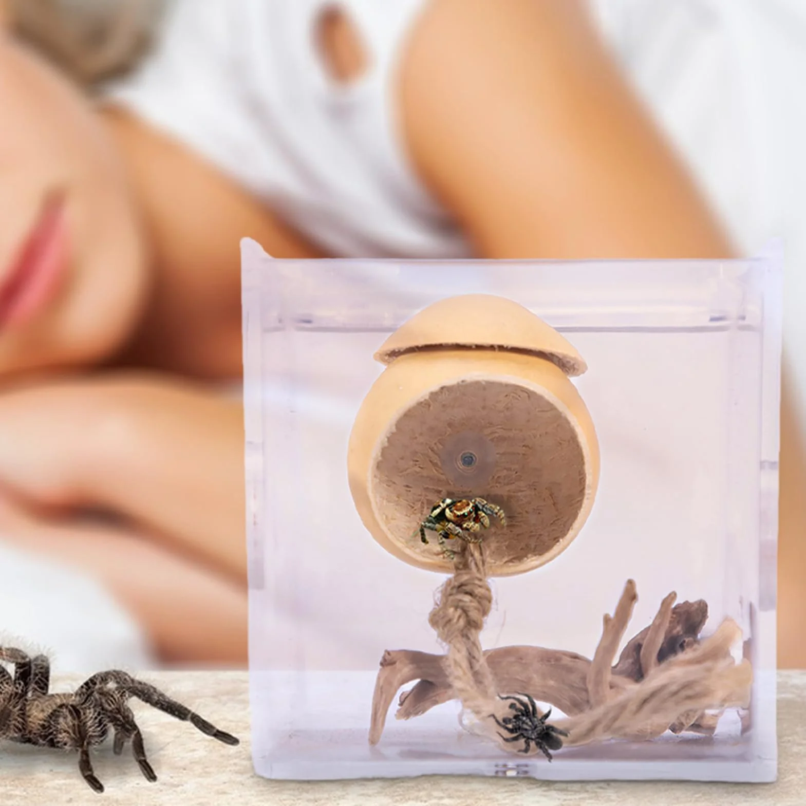 Terrarium Dla Skakunów, Ręcznie Robiona Klatka dla Skaczących Pająków z Przyssawką, Dekoracyjne Terrarium W Kształcie Tykwy Akcesoria Dla Jaszczurek I Żab