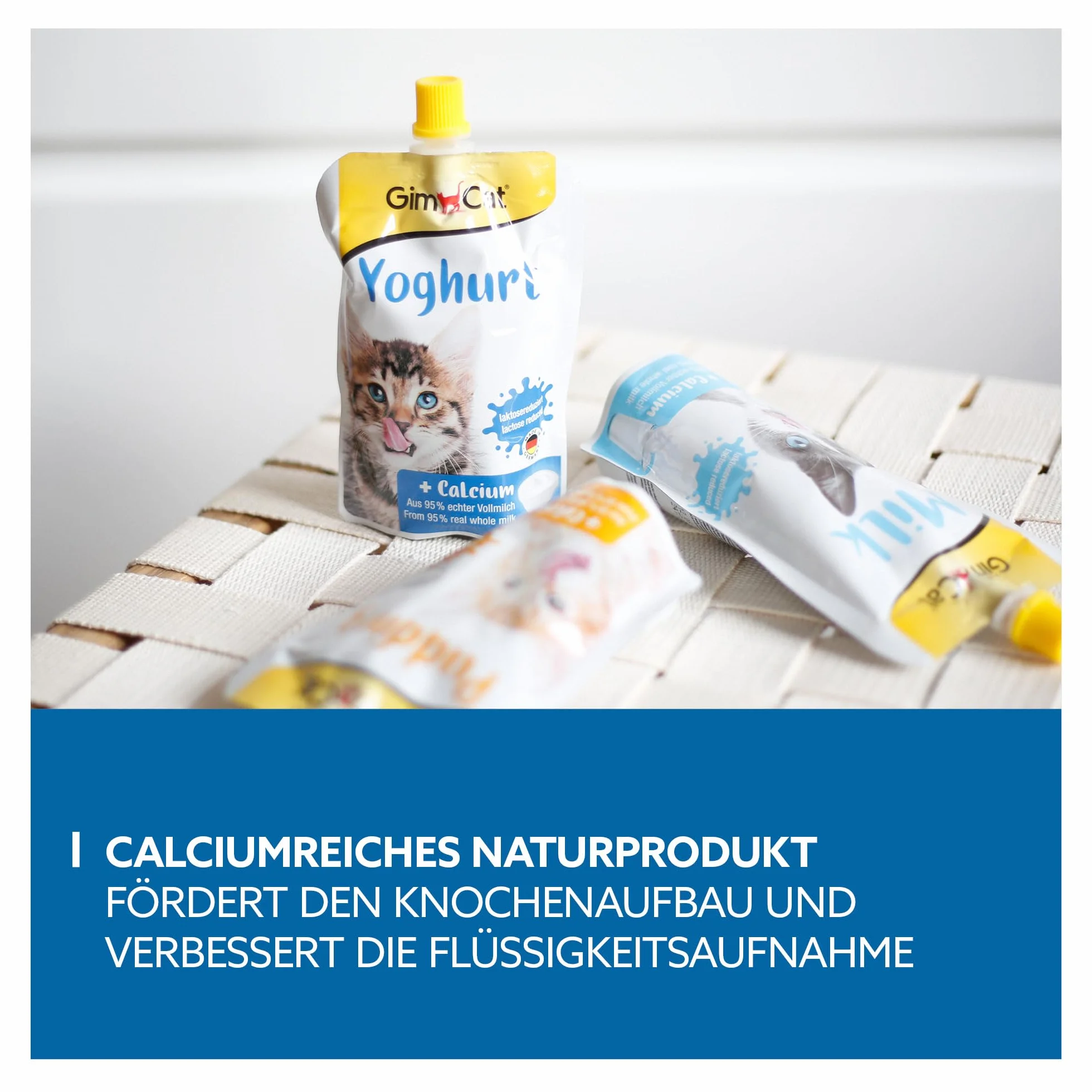GimCat Yoghurt - Przysmak dla kotów o obniżonej zawartości laktozy, przygotowany z pełnego mleka z dodatkiem wapnia z myślą o zdrowiu kości - 1 worek (1 × 150 g)