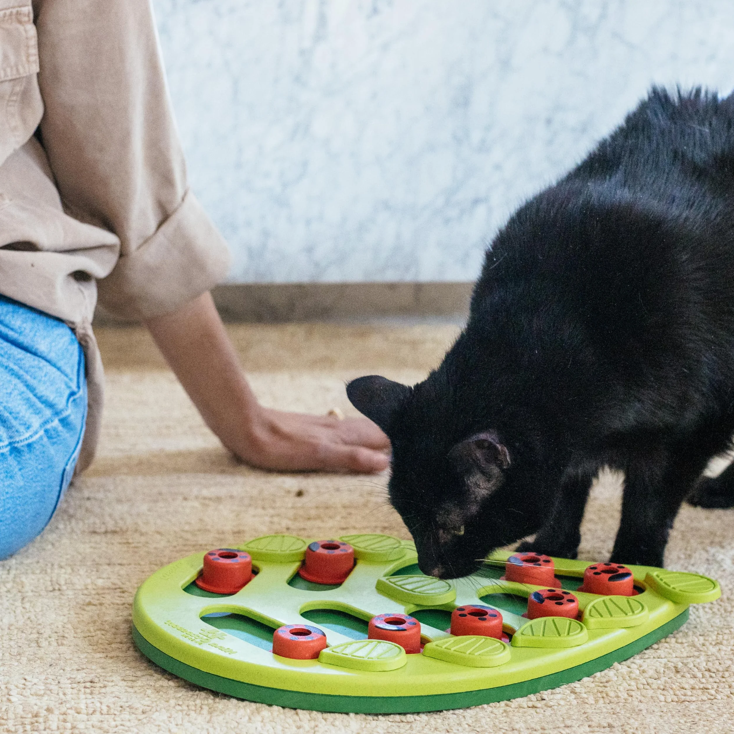Nina Ottosson Petstages Buggin' Out Puzzle & Play Interaktywna zabawka dla kotów ze smakołykami zielony