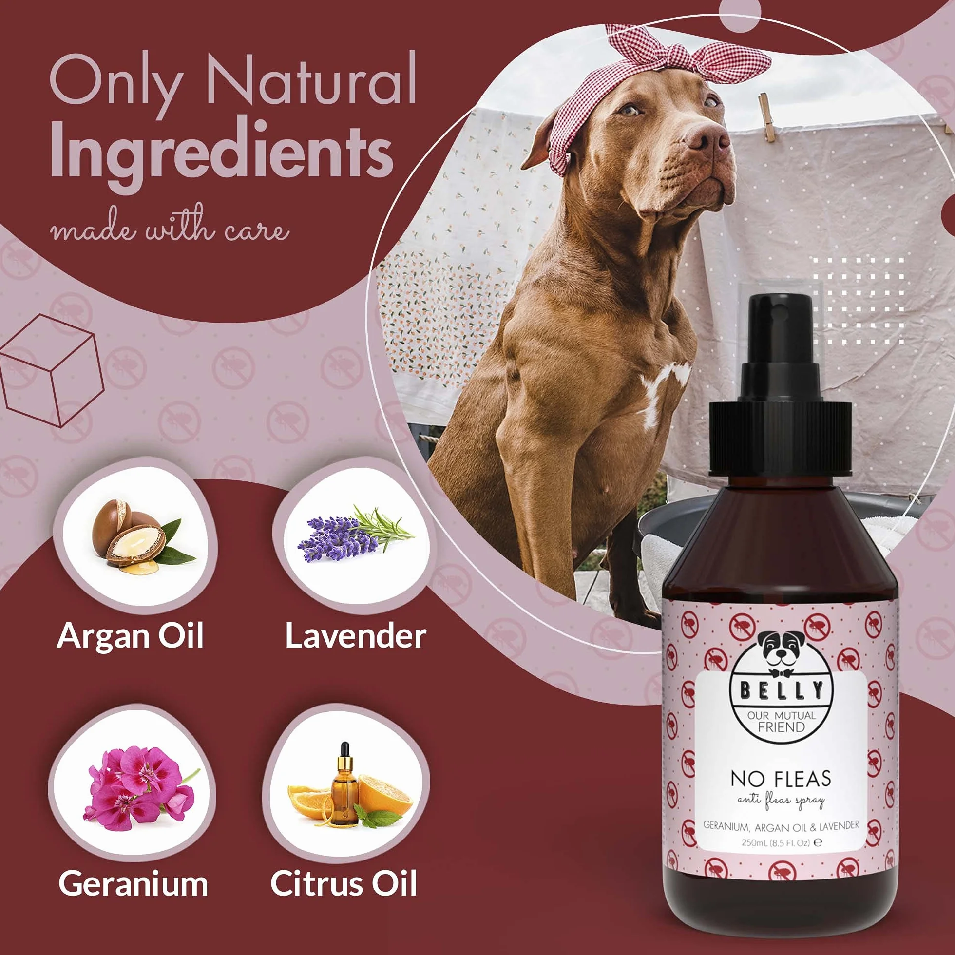 Belly Spray przeciw pchłom, 250 ml, bez plam i pozostałości, domowy spray przeciw pchłom z lawendą, geranium, olejem arganowym, chroni pchły, kleszcze i komary - Wegański - Wyprodukowano w Niemczech