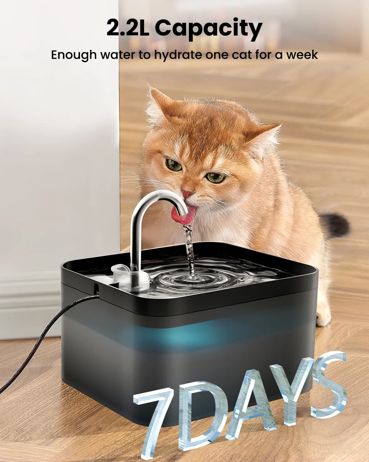 PawPoll Fontanna dla Kotów, 2,2L Super Cicha, Konstrukcja Kranu, Fontanna Wodna dla Kotów z Diodami LED i Filtrem z Węglem Aktywnym, łatwa do Czyszczenia, 6 Filtrów + 3 Filtry Piankowe