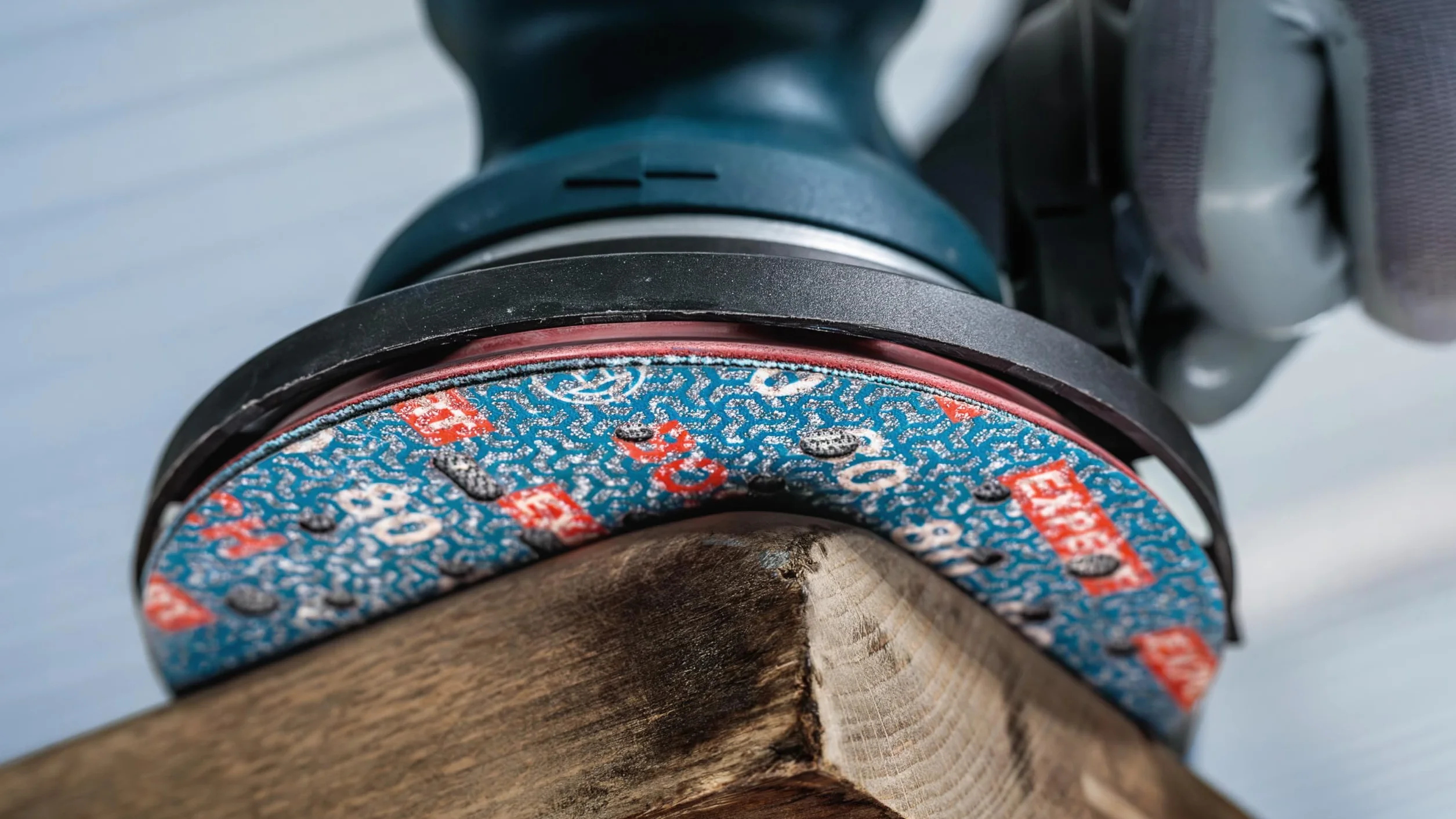 Bosch 50x EXPERT O780 tarcza szlifierska do folii, 150 mm (do twardego drewna, farba na drewnie, Ø 150 mm, ziarnistość 60, profesjonalne akcesoria szlifierka mimośrodowa)