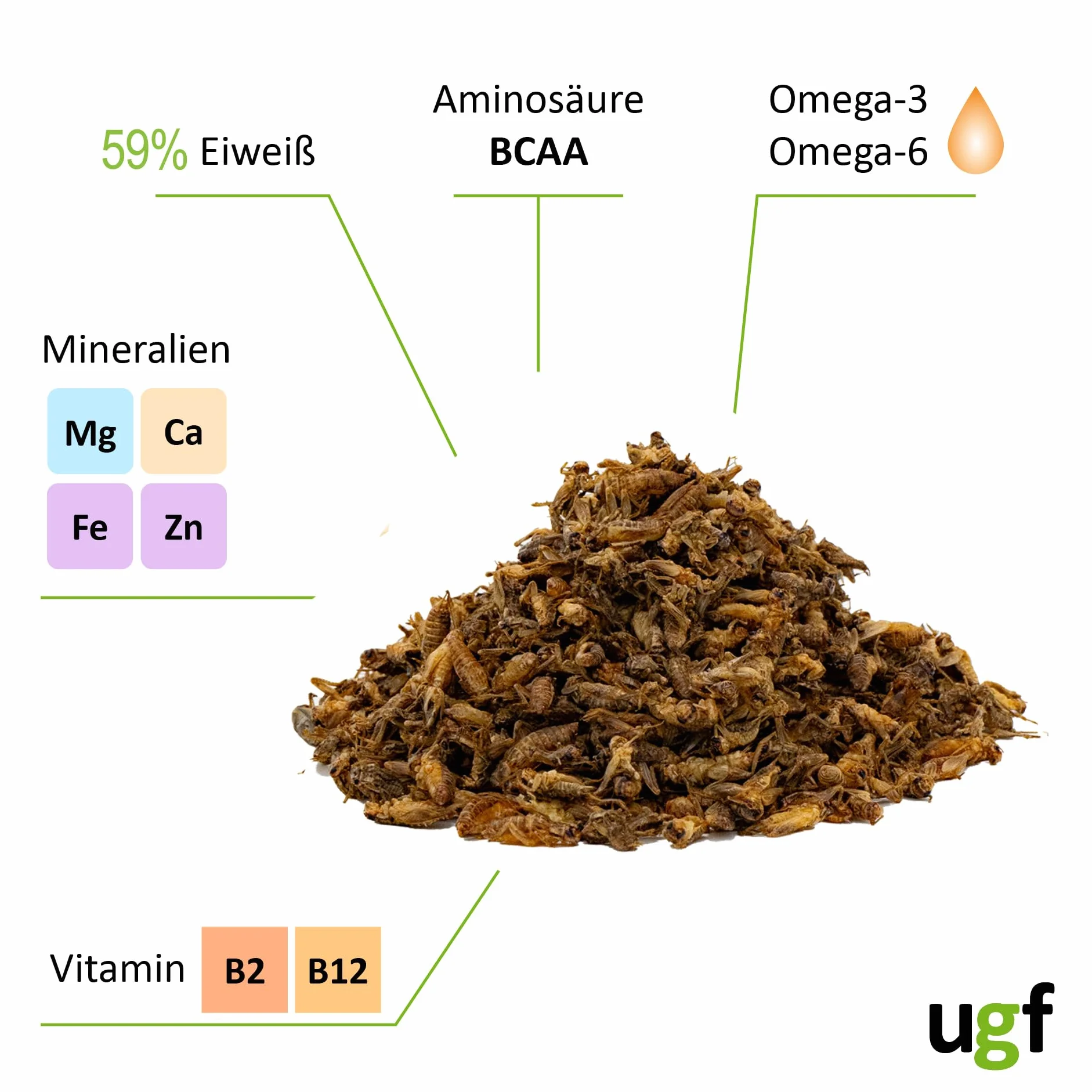 UGF - Suszone małe świerszcze - 400 g w wiaderku 3-litrowym, Owady świerszczowe, Karma dla ptaków dzikich (całoroczna), Karma dla żółwi, Karma dla jeży, Karma dla jaszczurek, Karma dla ryb