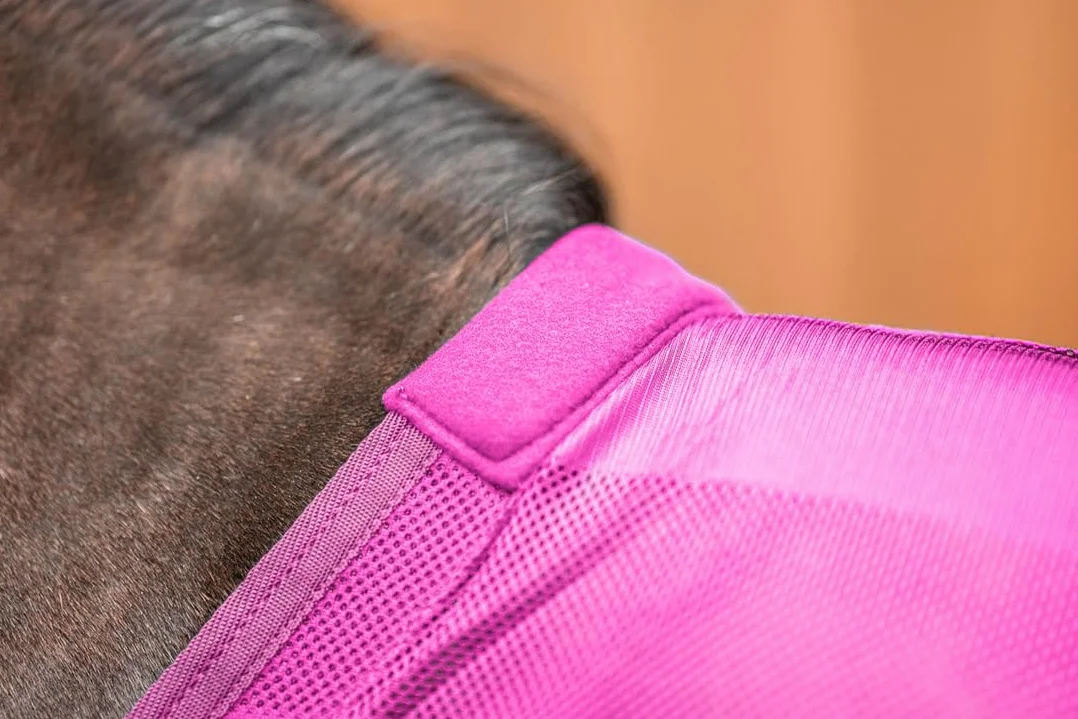 Equinate Koc na muchy Guardian z korekcją krzyżową i poduszką w kłębie 165 cm Raspberry – koc z egzemą ze skuteczną ochroną przed muchami i owadami – koc dla konia – koc pastwiskowy