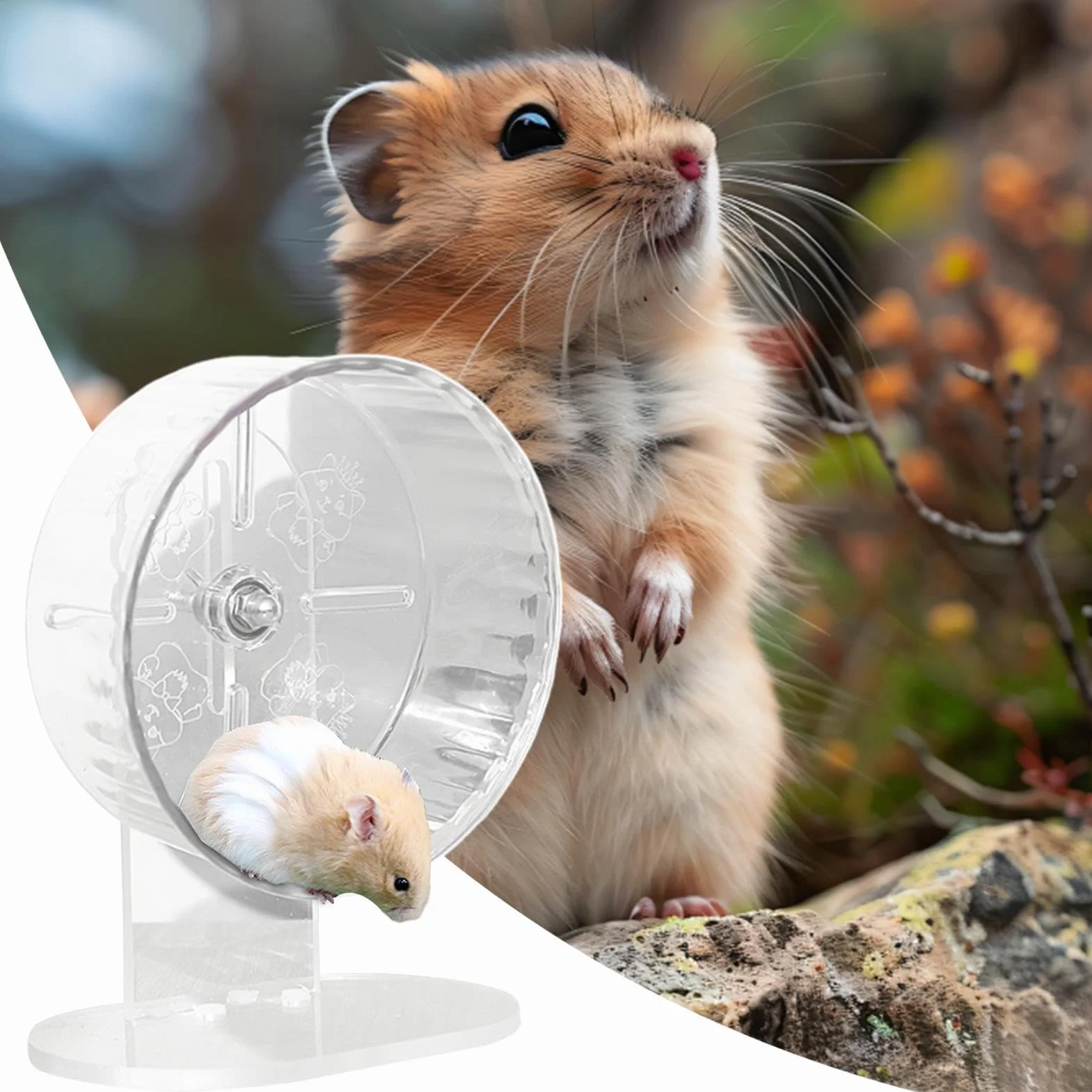 Ciche koło chomika, przezroczyste koło do biegania, regulacja wysokości obrotówki, akrylowa zabawka Gerbil, przezroczysta i szorstka akcesoria dla chomików, 18 cm, 200 g