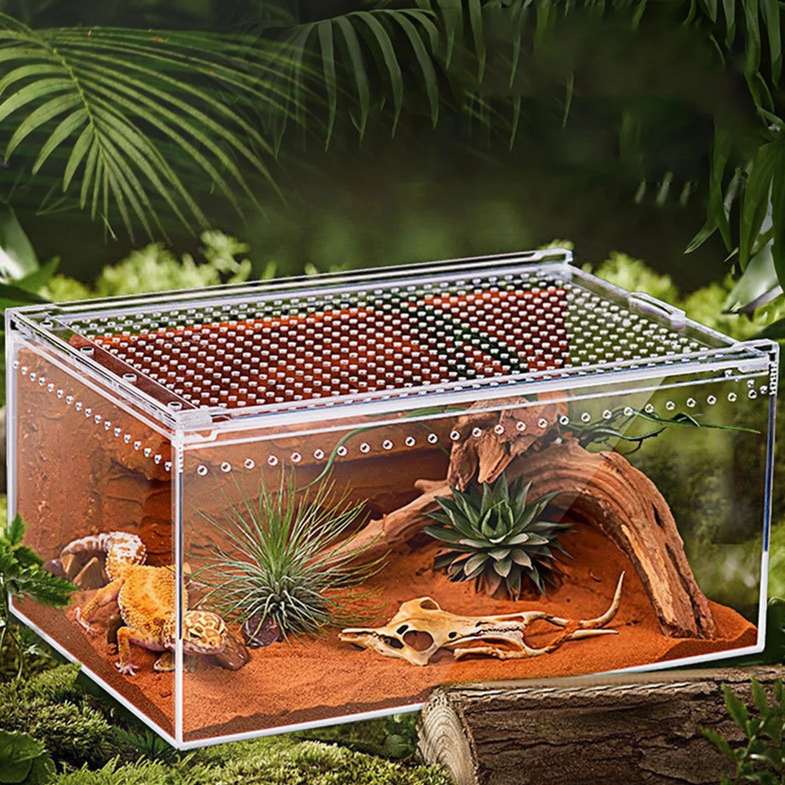 Terrarium Dla Paj?ków Skacz?cych - Akrylowe Terrarium Dla Gadów | Jaszczurek,dla Gekonów W??y Kameleonów ?ó?wi