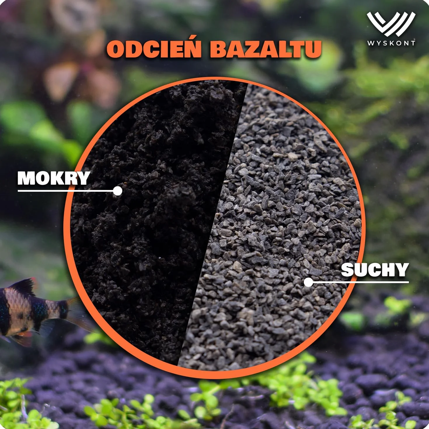 żwirek do akwarium czarny - żwir akwarystyczny 1 kg – 3-5 mm – żwirek akwarystyczny - dekoracja akwarium - podłoże akwariowe - piasek kwarcowy - ozdoba akwariowa