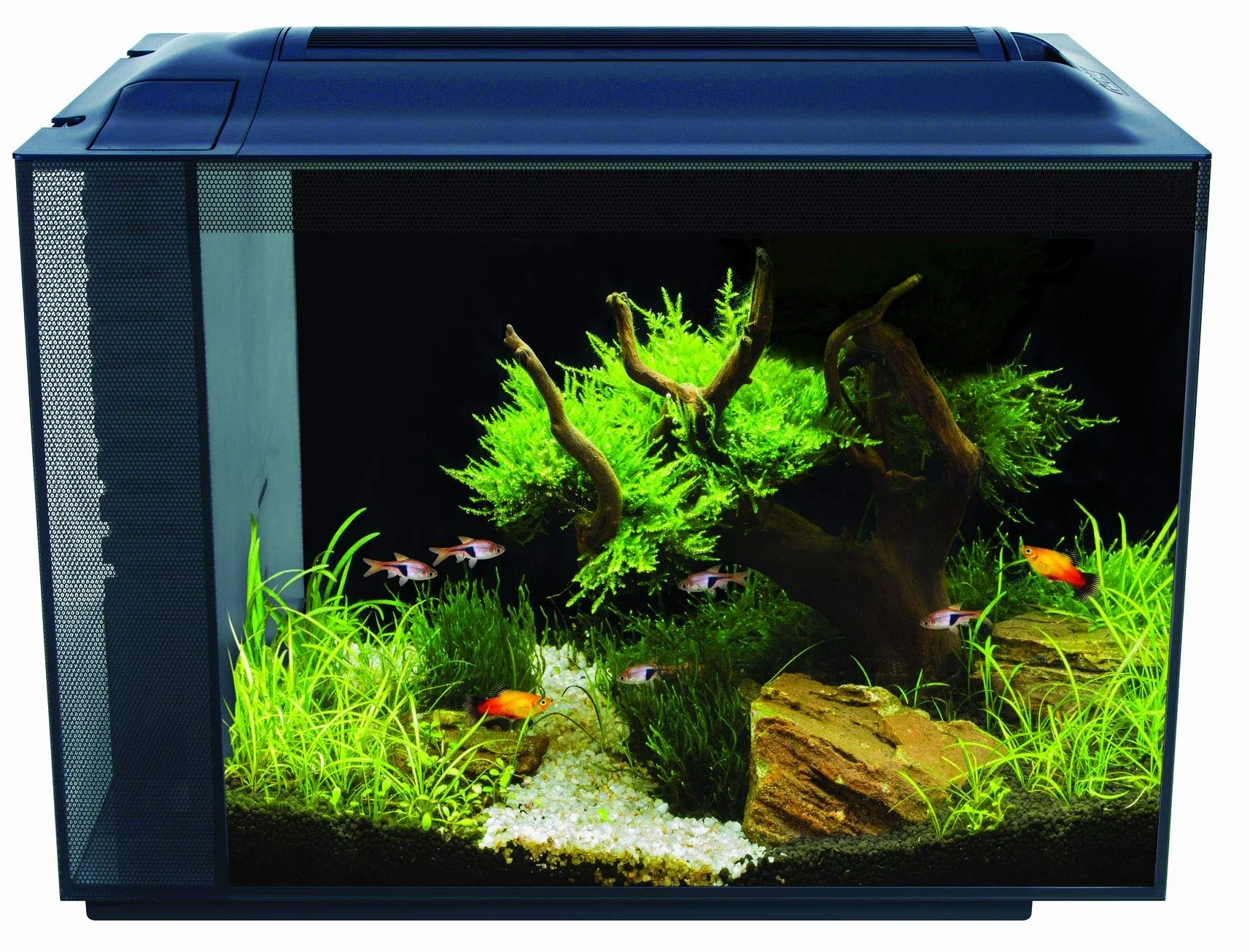 Fluval Spec Xv Akwarium, Czarny, 60 l