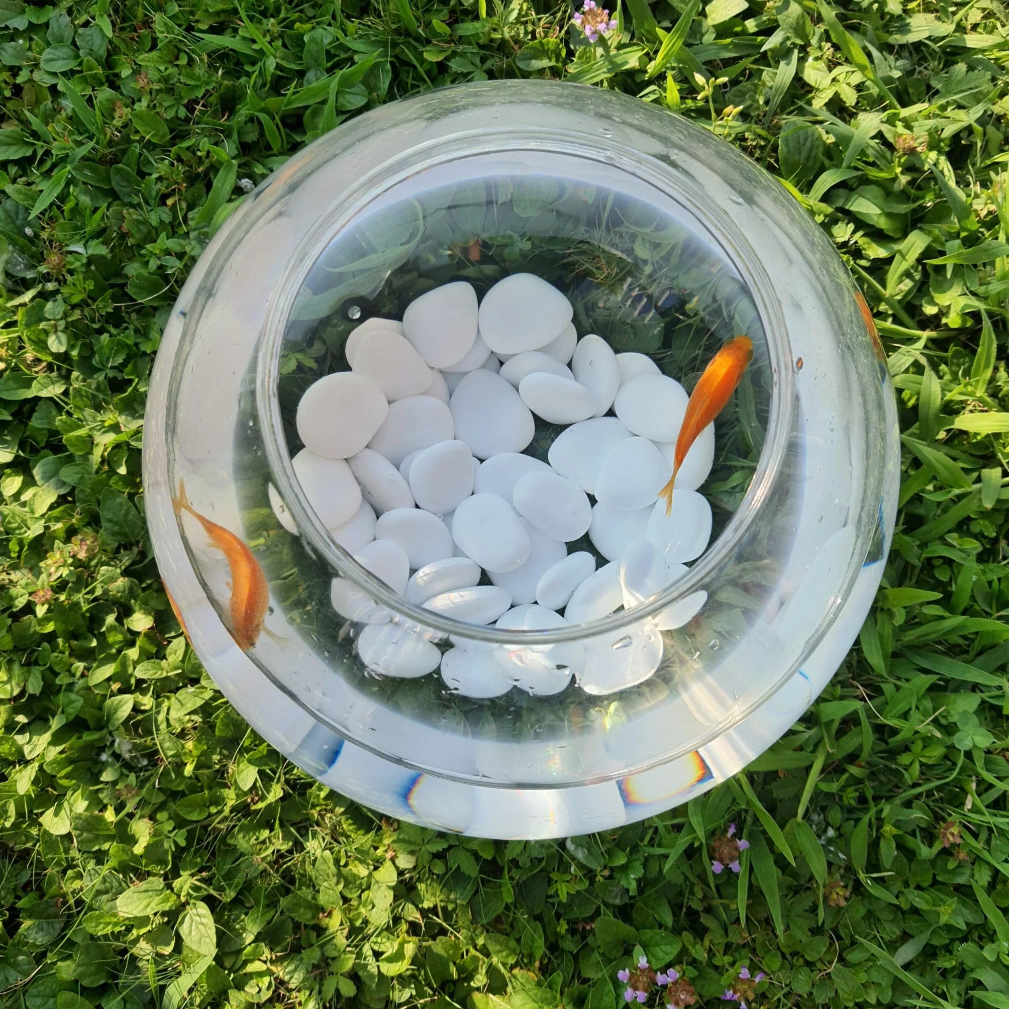 Zestaw testowy 12 mieszanych kamieni dekoracyjnych (10 małych, 2 duże), plastik z recyklingu do doniczek, malowanie, akwaria, ogród
