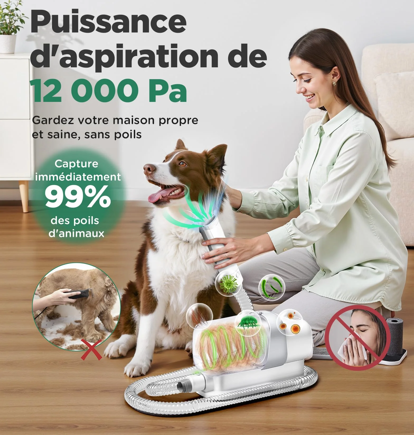 Gimars Odkurzacz ze Szczotką, Zestaw Pielęgnacyjny 12.000 Pa, Maszynka do Strzyżenia z 5 Narzędziami, Pojemność 2,3L, Usuwanie Włosów Zwierząt dla Psów i Kotów